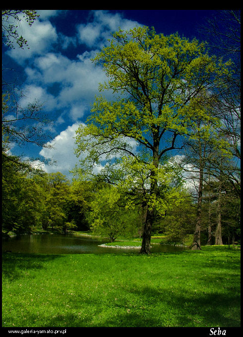 park szczytnicki